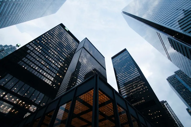 The Evolution of Workplace Culture - 狗子28